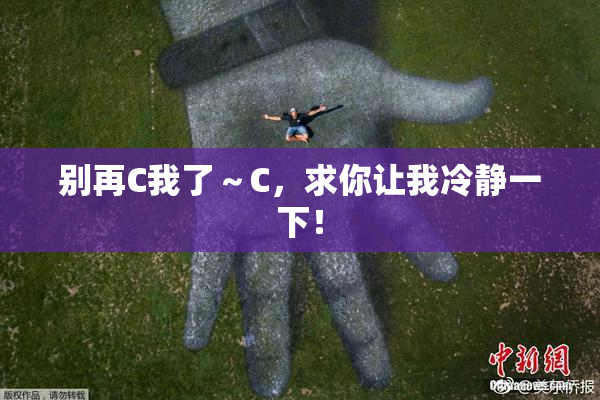 别再C我了～C，求你让我冷静一下！
