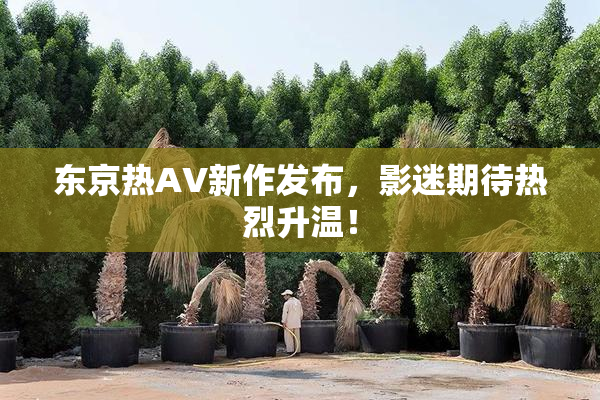 东京热AV新作发布，影迷期待热烈升温！