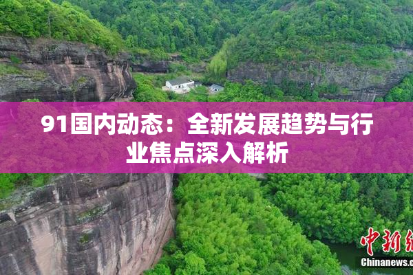 91国内动态：全新发展趋势与行业焦点深入解析