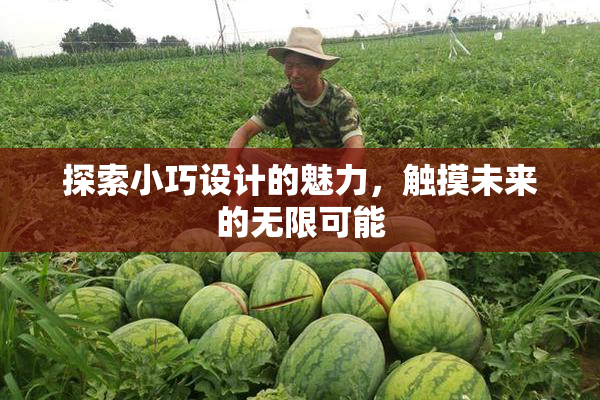 探索小巧设计的魅力，触摸未来的无限可能