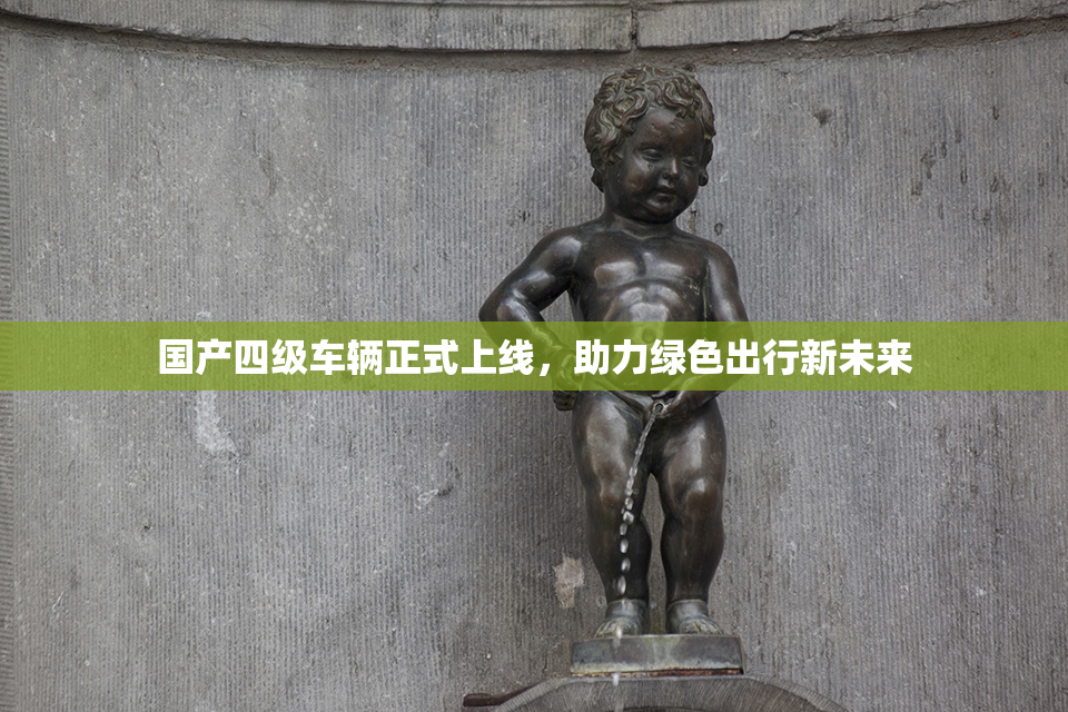 国产四级车辆正式上线，助力绿色出行新未来