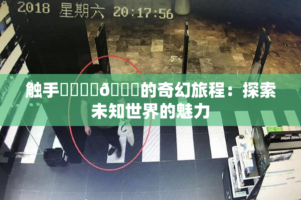 触手❌‌❌‌🔞的奇幻旅程：探索未知世界的魅力