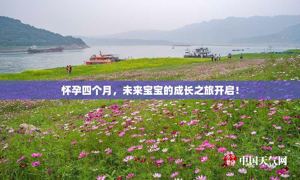 怀孕四个月，未来宝宝的成长之旅开启！