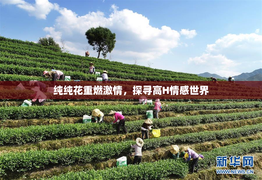 纯纯花重燃激情，探寻高H情感世界