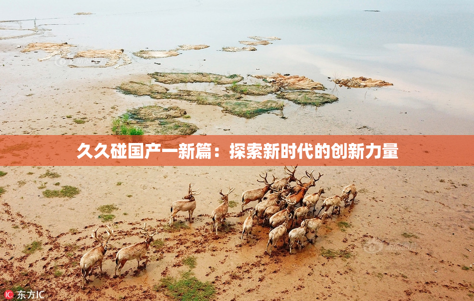 久久碰国产一新篇：探索新时代的创新力量