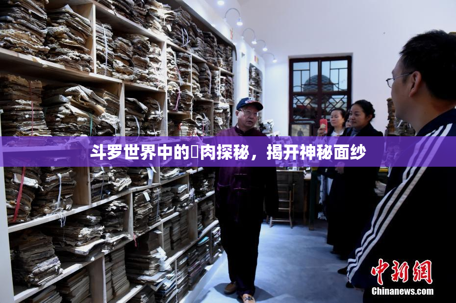 斗罗世界中的婬肉探秘，揭开神秘面纱