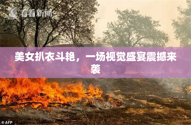 美女扒衣斗艳，一场视觉盛宴震撼来袭