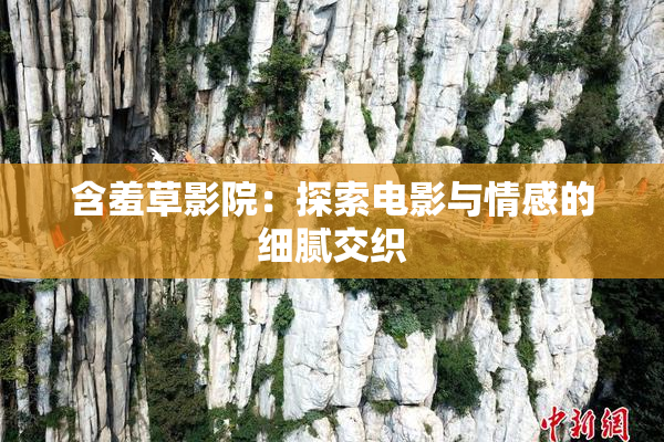 含羞草影院：探索电影与情感的细腻交织