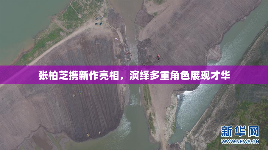 张柏芝携新作亮相，演绎多重角色展现才华