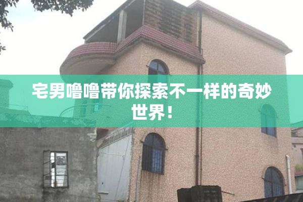 宅男噜噜带你探索不一样的奇妙世界！