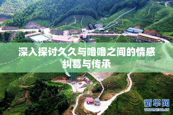 深入探讨久久与噜噜之间的情感纠葛与传承