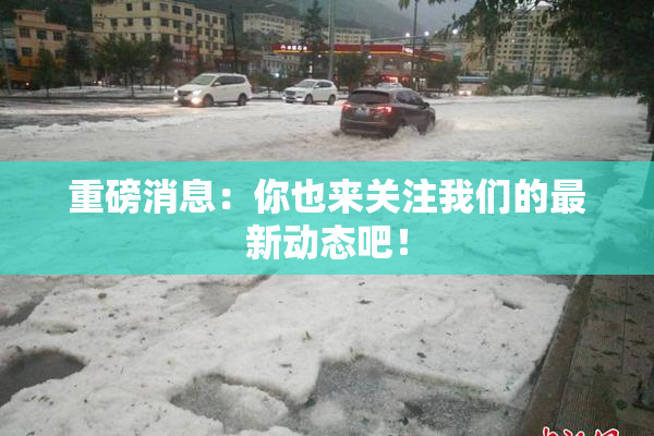 重磅消息：你也来关注我们的最新动态吧！