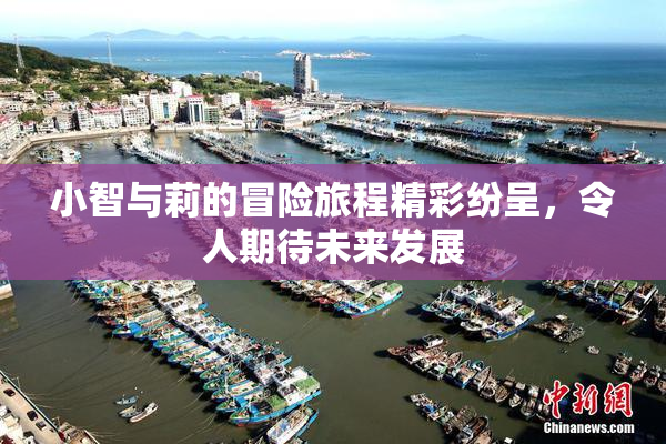 小智与莉的冒险旅程精彩纷呈，令人期待未来发展