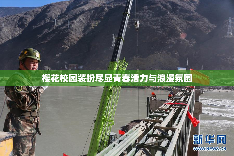 樱花校园装扮尽显青春活力与浪漫氛围