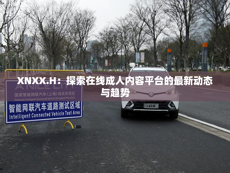 XNXX.H：探索在线成人内容平台的最新动态与趋势