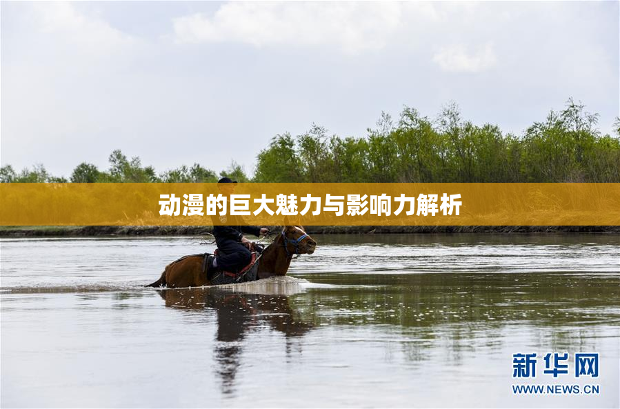 动漫的巨大魅力与影响力解析