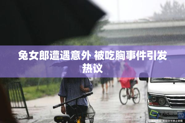 兔女郎遭遇意外 被吃胸事件引发热议