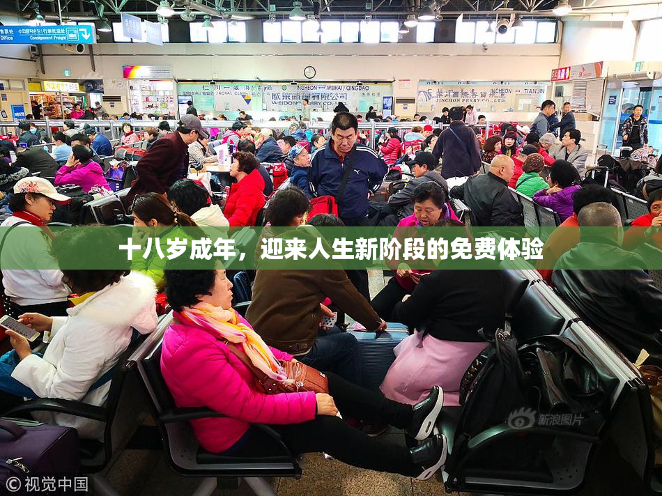 十八岁成年，迎来人生新阶段的免费体验