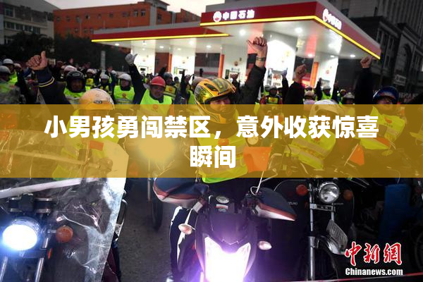 小男孩勇闯禁区，意外收获惊喜瞬间