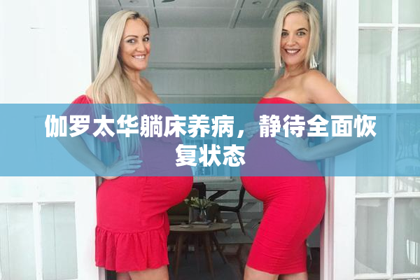 伽罗太华躺床养病，静待全面恢复状态