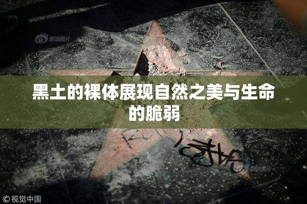 黑土的裸体展现自然之美与生命的脆弱