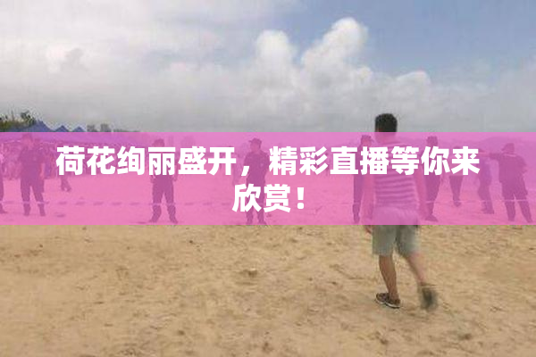 荷花绚丽盛开，精彩直播等你来欣赏！