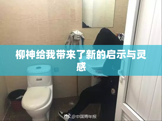柳神给我带来了新的启示与灵感