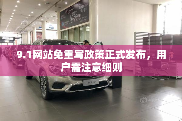 9.1网站免重写政策正式发布，用户需注意细则