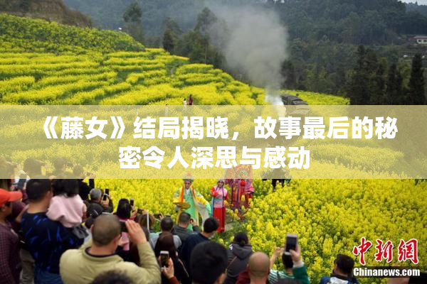 《藤女》结局揭晓，故事最后的秘密令人深思与感动