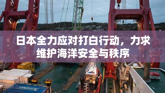 日本全力应对打白行动，力求维护海洋安全与秩序