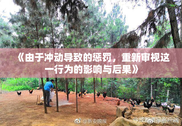 《由于冲动导致的惩罚，重新审视这一行为的影响与后果》