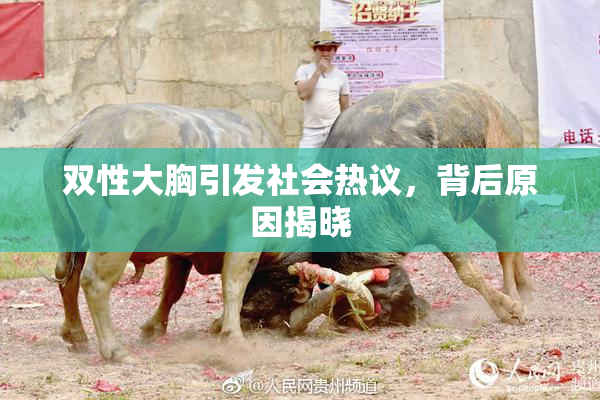 双性大胸引发社会热议，背后原因揭晓