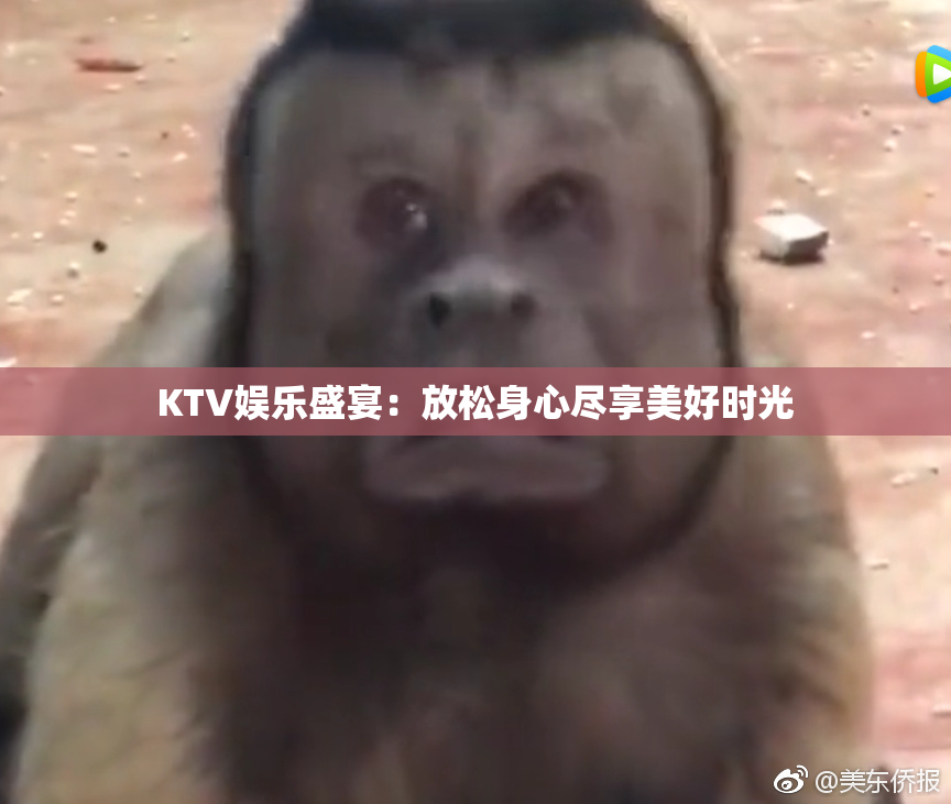 KTV娱乐盛宴：放松身心尽享美好时光