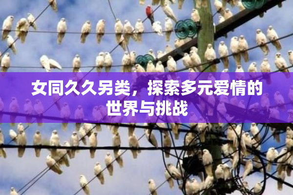 女同久久另类，探索多元爱情的世界与挑战