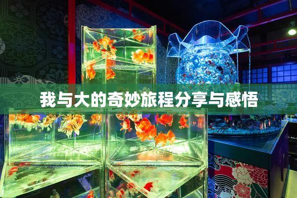我与大的奇妙旅程分享与感悟