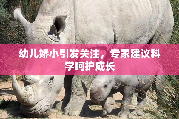 幼儿娇小引发关注，专家建议科学呵护成长