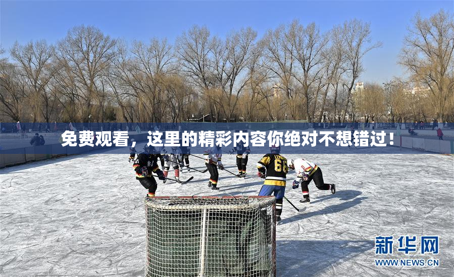 免费观看，这里的精彩内容你绝对不想错过！