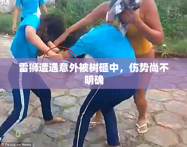 雷狮遭遇意外被树砸中，伤势尚不明确
