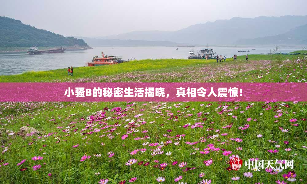 小骚B的秘密生活揭晓，真相令人震惊！