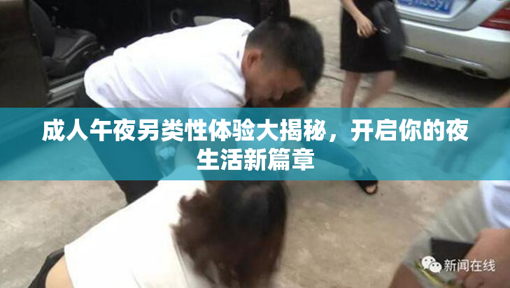 成人午夜另类性体验大揭秘，开启你的夜生活新篇章