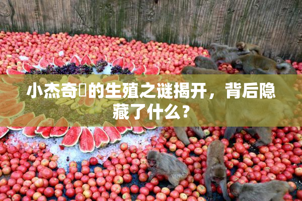 小杰奇犽的生殖之谜揭开，背后隐藏了什么？