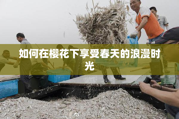 如何在樱花下享受春天的浪漫时光