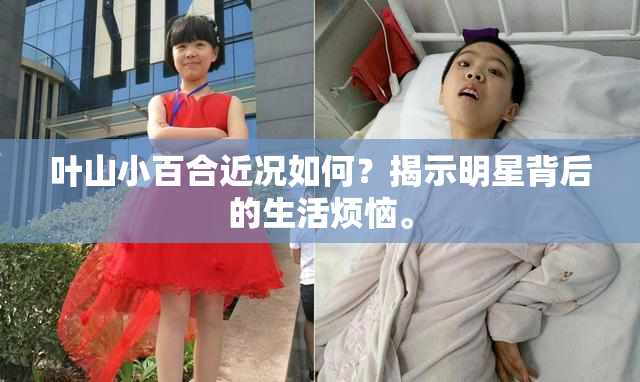 叶山小百合近况如何？揭示明星背后的生活烦恼。