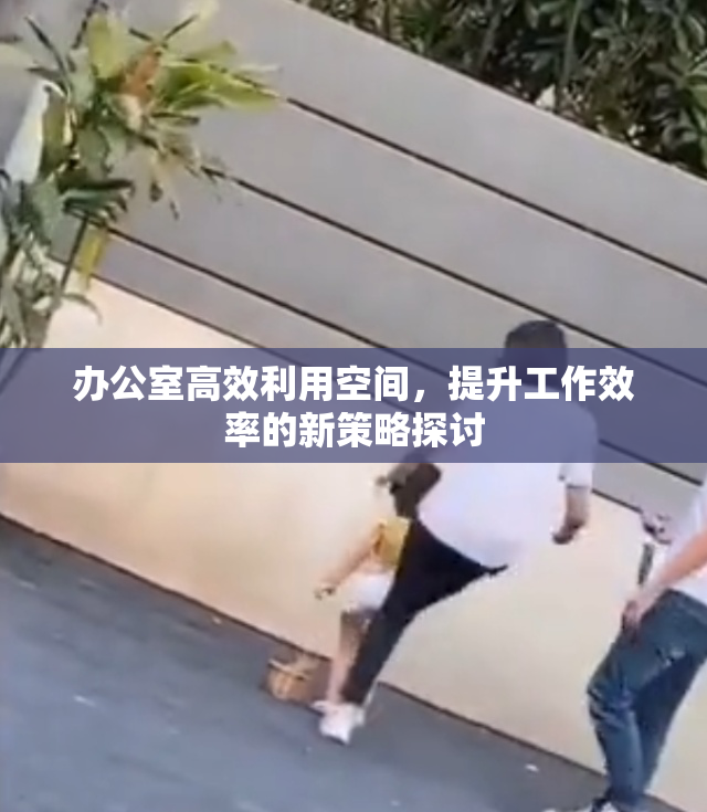 办公室高效利用空间，提升工作效率的新策略探讨