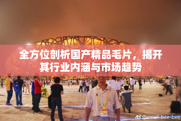全方位剖析国产精品毛片，揭开其行业内涵与市场趋势