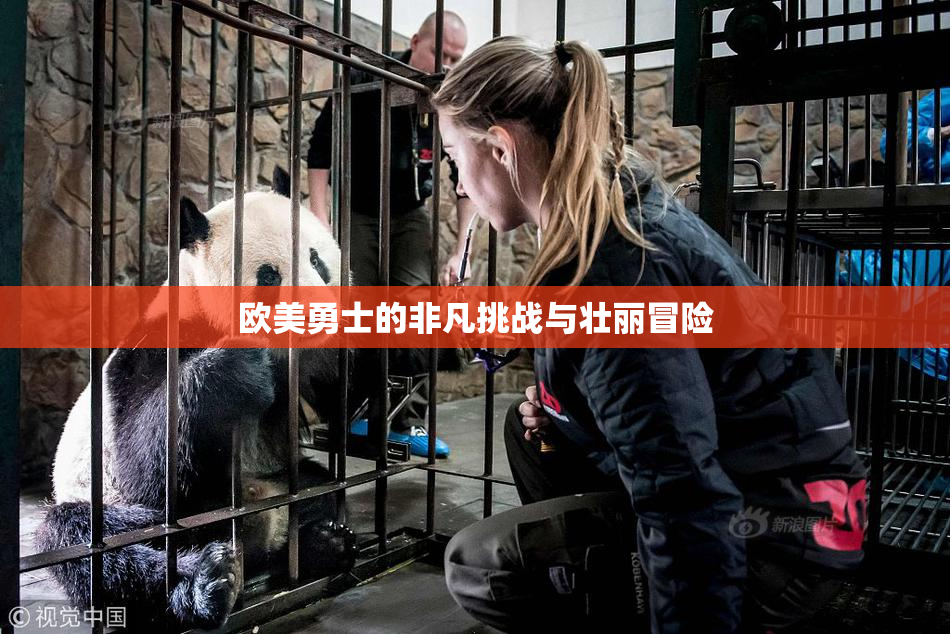欧美勇士的非凡挑战与壮丽冒险