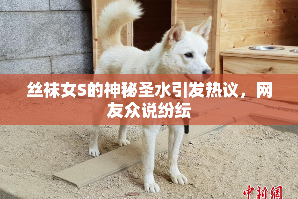丝袜女S的神秘圣水引发热议，网友众说纷纭