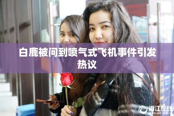 白鹿被问到喷气式飞机事件引发热议