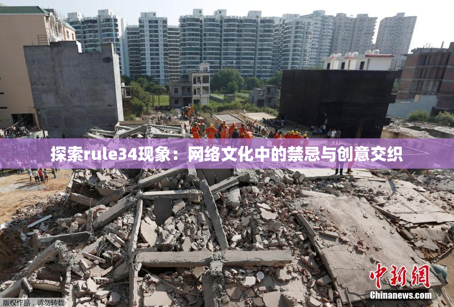 探索rule34现象：网络文化中的禁忌与创意交织