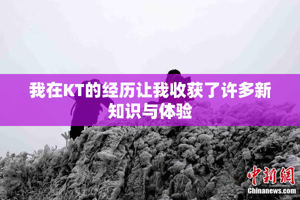 我在KT的经历让我收获了许多新知识与体验